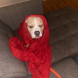 Meet your Posher, Brady